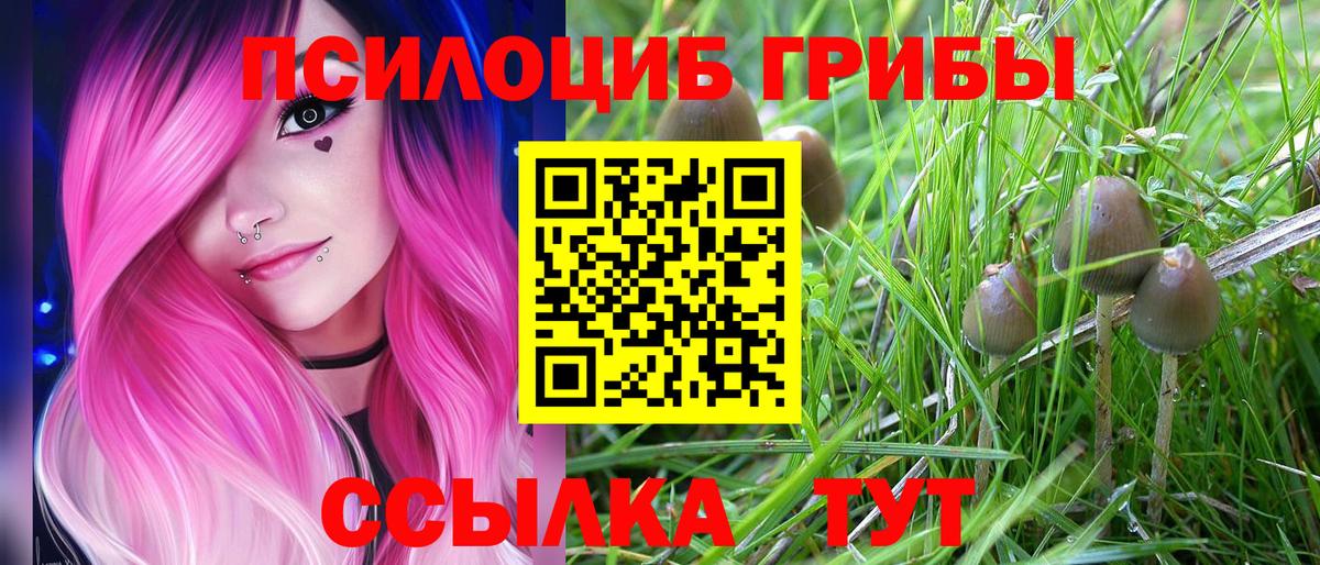 Зима  Псилоцибиновые грибы мухоморы  Псилоцибиновые грибы Psilocybe  Вход с VPN 